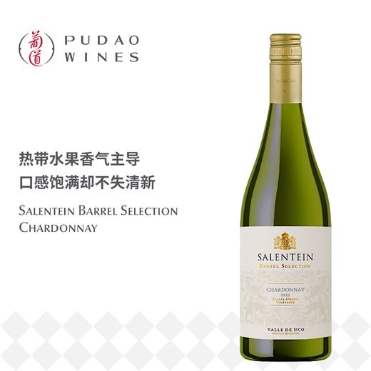 萨兰亭霞多丽橡木桶精选干白葡萄酒 Salentein Barrel Selection Chardonnay 商品图0