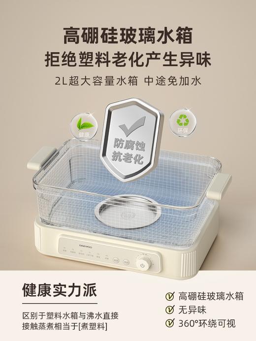 大宇玻璃蒸锅S22 商品图2