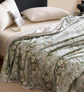 【夏凉被】柔润冰缎竹粹凉被-BX2253