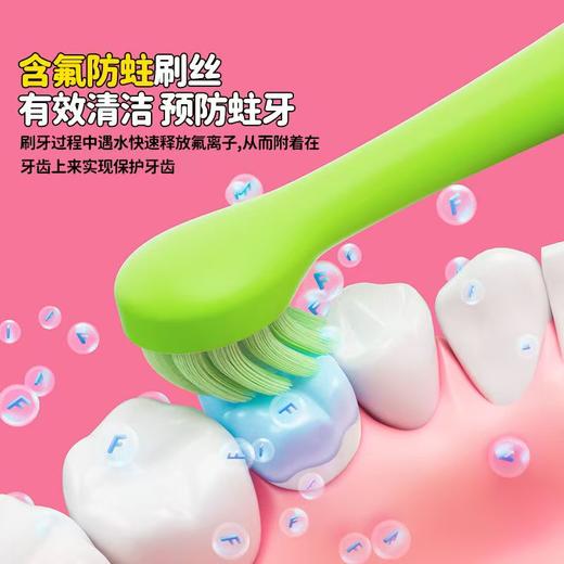COMBO 0-2岁婴幼儿训练刷儿童牙刷专用刷软毛乳牙刷 商品图4