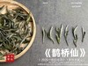 【2025春茶】2025一级白牡丹《鹊桥仙》来了，连续7年春白茶销冠，鲜、爽、清、润，香透了！ 商品缩略图5