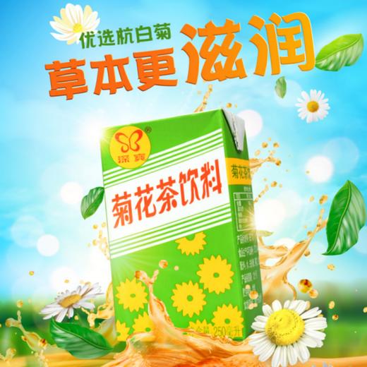 深宝 菊花茶250ml×24 商品图1