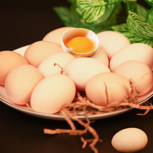 【散养初生蛋】新鲜现捡现发 皖南山林散养土鸡蛋初生蛋 商品图1