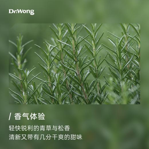 迷迭香 植物香薰精油 商品图1