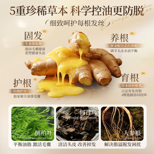 【分销】【下单送同款洗发水30ml*1+发膜10g*5】儒意防脱固根洗发水 500ml大容量 科学防脱发 强韧发根减少断发 控油去屑止痒 温和修护头皮 商品图2