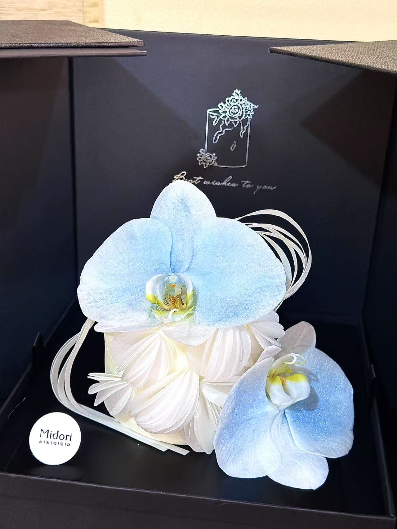 蓝蝶翩跹 | 母亲节妈妈