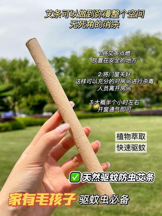 【驱蚊陈年艾条】驱蚊去湿，净化空气 夏天必备 植物萃取!无化学物添加，快速驱蚊!▽气味清香不呛人，不熏人，不刺激网去污浊、去湿气、净化空气 商品图4