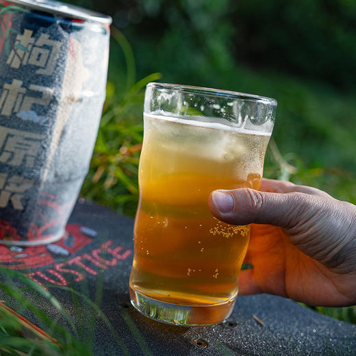 热卖中！！【盒马鲜生同款有售】传奇大叔·中式精酿啤酒 1L装，酒精度≥4.5%vol 商品图3