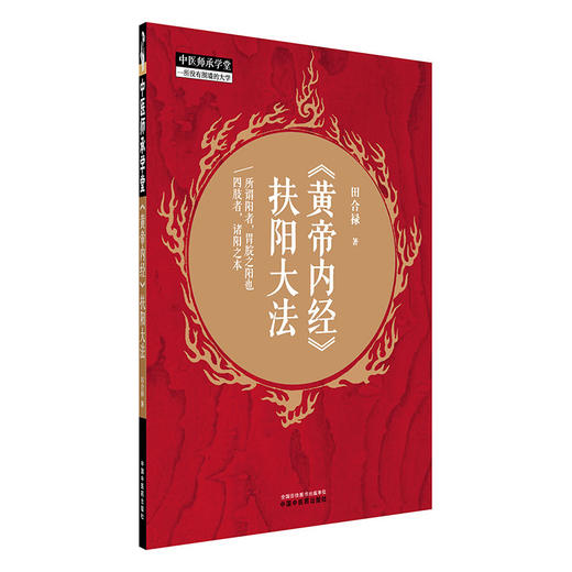 《黄帝内经》扶阳大法 田合禄 著 中国中医药出版社 中医师承学堂 临床医案 黄帝内经书籍 商品图4