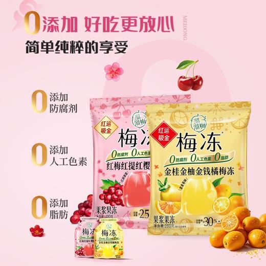 【9.9元任选3件】休闲零食 溜溜梅天然梅冻 果浆果冻  100g/袋 商品图2