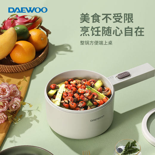 大宇电煮锅DYZG-16G9珊瑚赫【分仓直发，72小时发货，周末节假日不发货】 商品图6