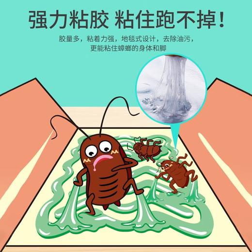 ARS安速  小强恢恢蟑螂屋（5枚装） 商品图2