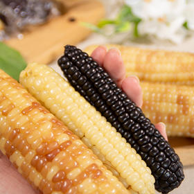 【限量多送1袋花糯，实发4袋】云南西双版纳特色小玉米   1500g/箱（白糯500g+紫糯500g+花糯500g）