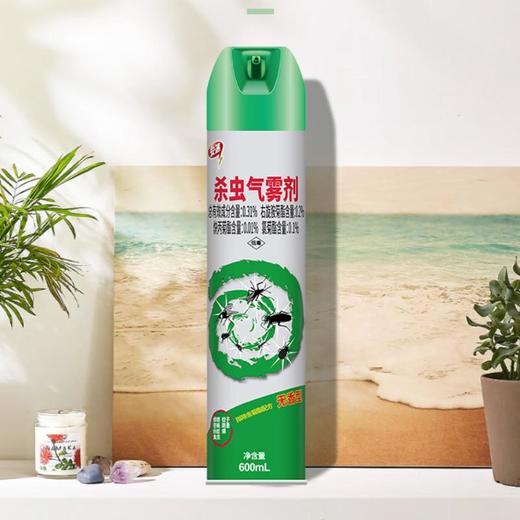 安速 杀虫气雾剂600ml（无香型） 商品图0