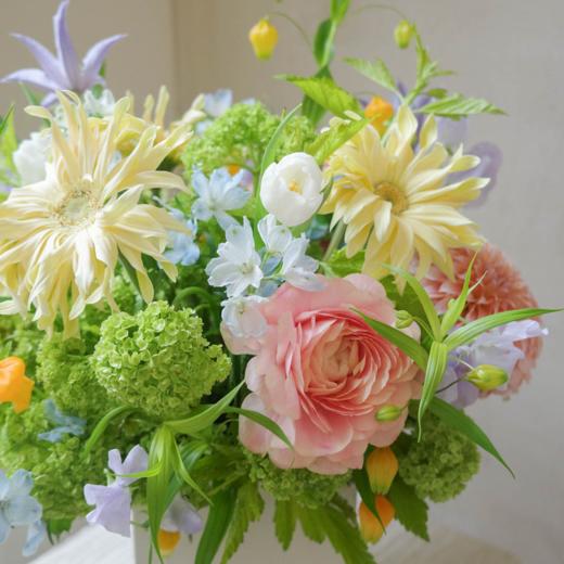 彩虹山脉 Rainbow Ridge 商品图1