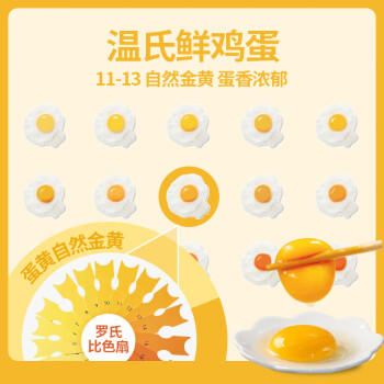 温氏供港鲜鸡蛋40枚/4斤家庭装 杂粮喂养 生鲜鸡蛋  牛奶早餐健康食材 商品图1