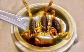 南山蝎子（每两价格，按实际称重）