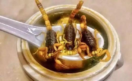 南山蝎子（每两价格，按实际称重） 商品图0