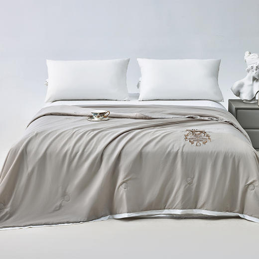 多喜爱 优雅绅士-超柔大豆蛋白夏薄被芯/空调被 【60S天丝绸凉感面料】【刺绣徽章】【大豆纤维】【出芽设计】柔滑清凉有效抑菌 瞬凉黑科技 轻松水洗 商品图0