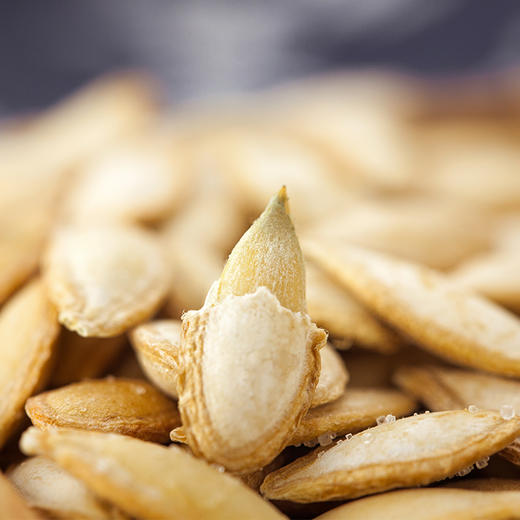 老闫家毛边南瓜子罐装750g盐焗味 商品图4