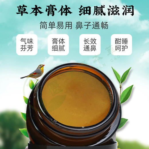 【九九专属】鼻炎膏辛夷鹅不食草苍耳子鼻敏敏膏 20g 商品图3