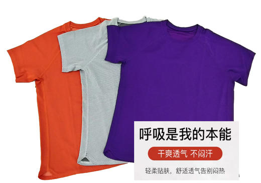 Y026女式网眼面料抗皱防晒速干运动圆领T恤 商品图0