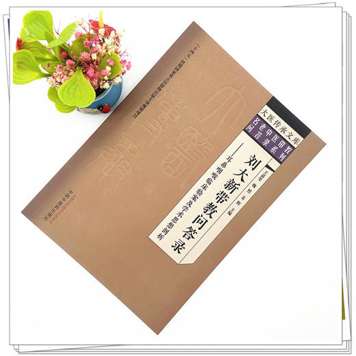 刘大新带教问答录:耳鼻咽喉临床验案及学术思想剖析 王嘉玺 魏然 姜辉 中国中医药出版社 大医传承文库. 名老中医带教问答录系列 商品图1