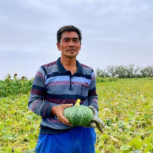 沙馍板栗南瓜5斤/9斤香甜绵糯、皮薄肉厚 商品图3