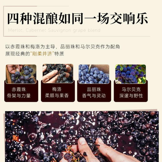 【超级波尔多】法国卡德涅十字古堡干红葡萄酒  法国原瓶进口   14%vol 商品图6
