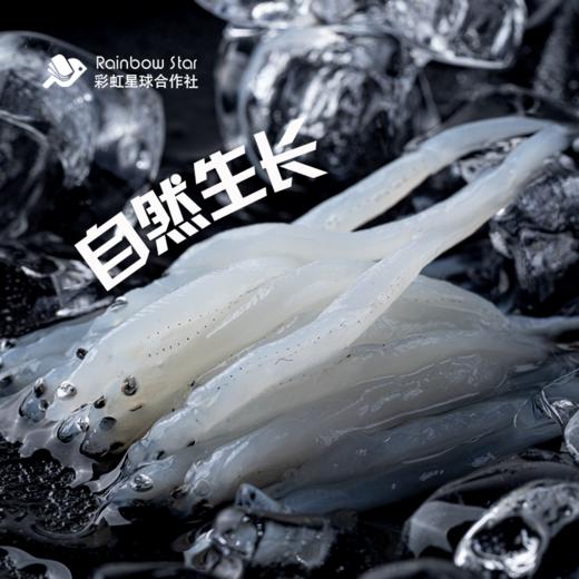 彩虹星球|有机小银鱼 商品图1