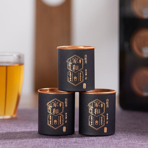 自家系列丨2007年 家和 老树白牡丹 100g（5g*20罐） 商品图3