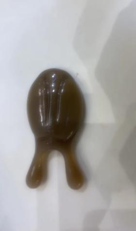 A5017金龟子鼻刮