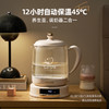 大宇养生壶（炖盅款）YS11 商品缩略图3