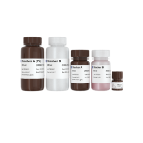 One-Step PAGE Gel Fast Preparation Kit (8%)