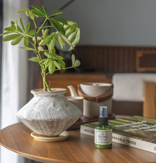 香邦【蚊虫怕怕草本防护喷雾】虫蚊咬叮｜蚊怕水｜户外｜减胀｜平痒 商品图4