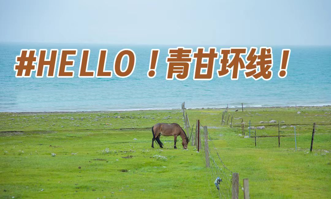 亲子九日营丨驰骋西北·青甘：解锁西北大环线！12大IP颠覆极致新西北，重走丝绸之路，青海湖畔私家牧场，刷爆你的朋友圈