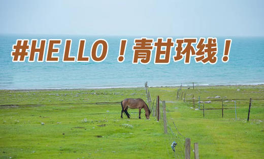 亲子九日营丨驰骋西北·青甘：解锁西北大环线！12大IP颠覆极致新西北，重走丝绸之路，青海湖畔私家牧场，刷爆你的朋友圈 商品图0