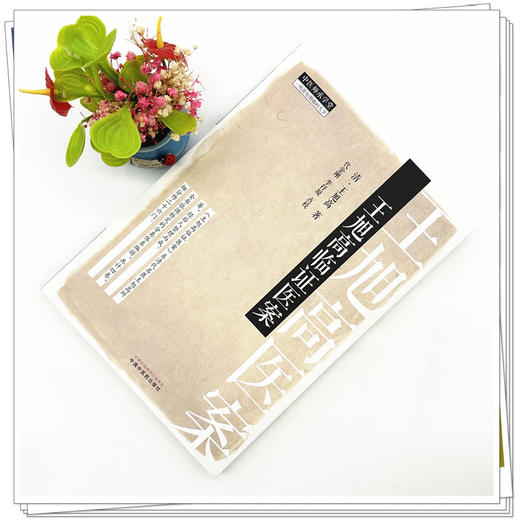 王旭高临证医案 (清) 王旭高 著 中国中医药出版社 中医师承学堂 临床医案珍本医书集成 书籍 商品图1