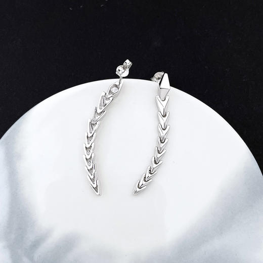 【限时8.8折】【线上铂金馆】PT950 #蛇思妙想 【国际铂金协会】铂金蛇思妙想蛇骨生肖蛇年灵蛇流苏耳吊(BES00179)预售产品下单后不退款不退货不换货不补差价) 商品图1