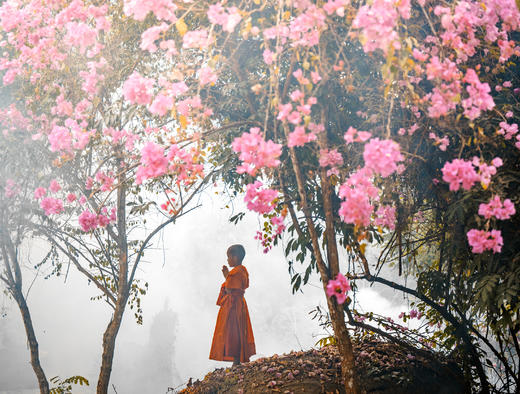 7.15确定出发【老挝魅影】定格寮国千年时光7天摄影团<环球寻梦> 商品图13