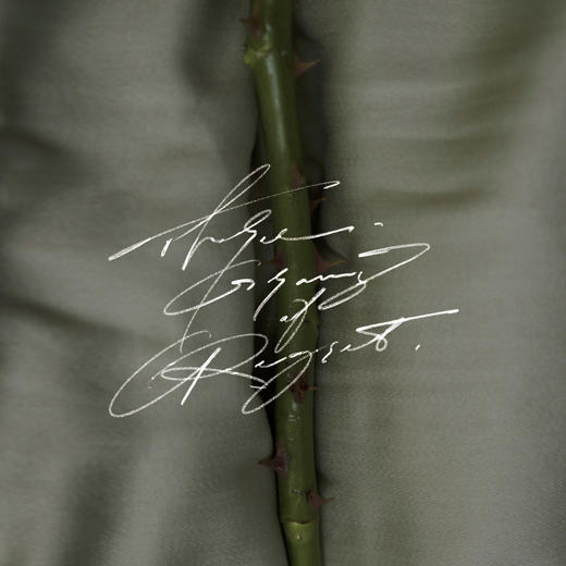 【限定新香】2025悠长的夏日｜限定新香·刺 商品图4