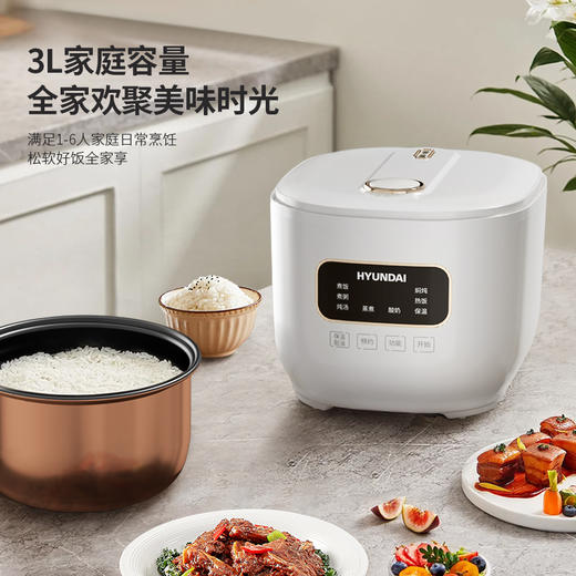 HYUNDAI(韩国现代)智能电饭煲FBD30-5A8 商品图1