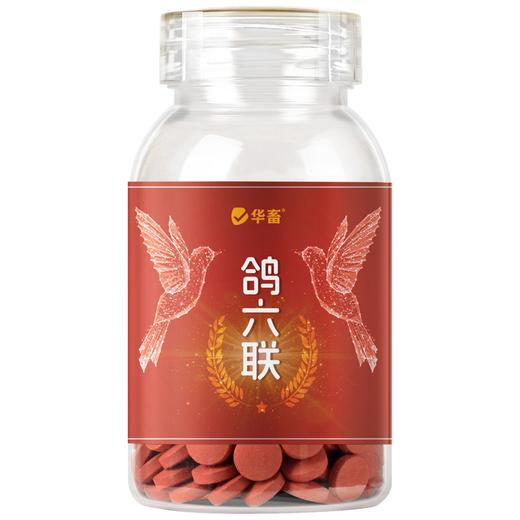 华畜鸽六联鸽子感冒水绿便歪头甩脖呕吐甩食鸽瘟流感缩头鸽子通用 商品图6