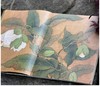 《宋元花鸟小品抉微》第一辑+第二辑，16开平装，段奇编，浙江人民美术出版社2025年一版一印，单册100页，每册单价98元，售价78元，两册合售149元。 商品缩略图3