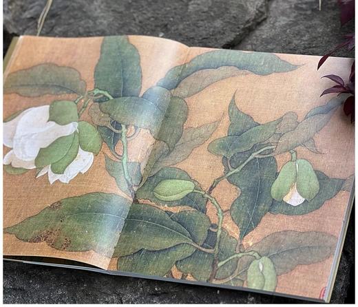 《宋元花鸟小品抉微》第一辑+第二辑，16开平装，段奇编，浙江人民美术出版社2025年一版一印，单册100页，每册单价98元，售价78元，两册合售149元。 商品图3