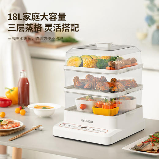 HYUNDAI韩国现代多功能电蒸锅XX-DZG08 商品图1