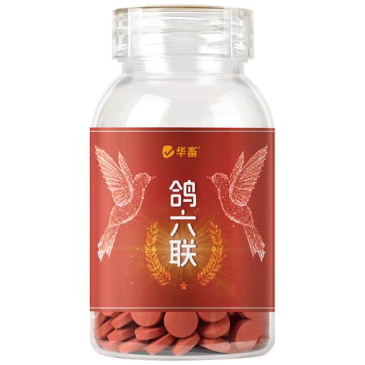 华畜鸽六联鸽子感冒水绿便歪头甩脖呕吐甩食鸽瘟流感缩头鸽子通用 商品图7