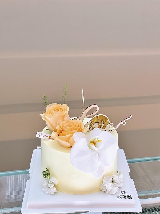 女神蝴蝶兰 商品图2