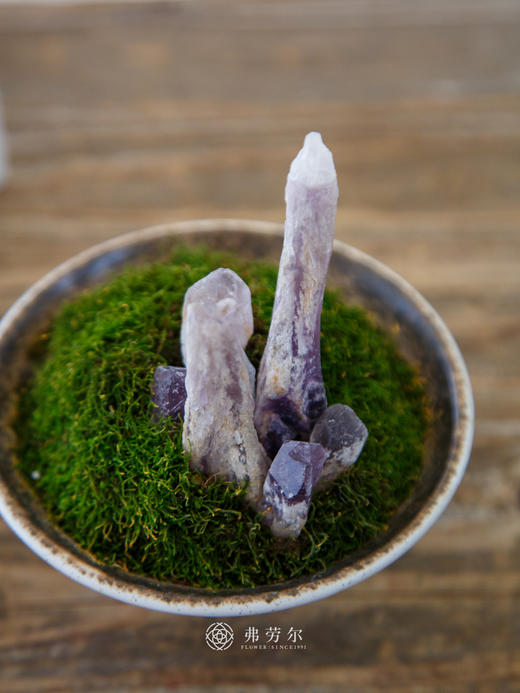 水晶苔藓 商品图1