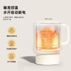 HYUNDAI(韩国现代)便携式电热水壶APL-0601 商品缩略图4